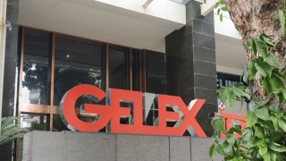 Gelex lãi trước thuế gần 800 tỷ đồng