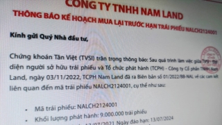 Nam Land và Gotec Land chi 1.500 tỷ mua trái phiếu trước hạn