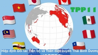 Vì sao CPTPP toàn diện, khả thi hơn TPP?