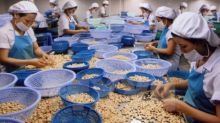 Muốn xuất khẩu thực phẩm vào thị trường Mỹ, doanh nghiệp cần nắm rõ những gì?