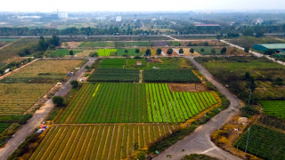 Đánh thức Mê Linh