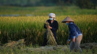 ‘Nông nghiệp có tội tình gì’?