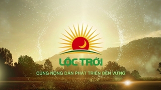 Lộc Trời được cấp gói tín dụng 90 triệu USD sau khi lỗ 327 tỷ đồng