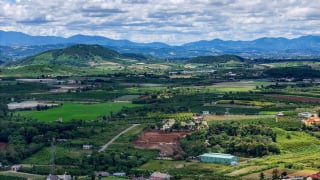 VinaCapital muốn làm than sinh học tại Quảng Trị