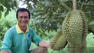 NPK Phú Mỹ phát triển bền vững cùng thủ phủ sầu riêng