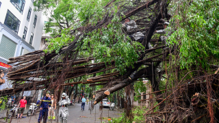Hỗ trợ cơ cấu nợ với khách hàng thiệt hại do bão Yagi