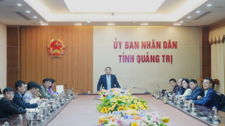 Quảng Trị gợi mở T&T Group đầu tư thêm điện gió