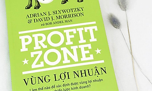 Tái thiết vùng lợi nhuận trong chiến lược kinh doanh