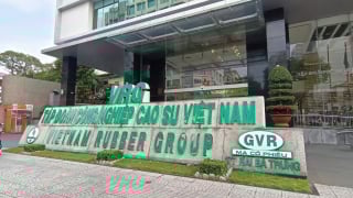 Tập đoàn Cao su Việt Nam ‘dọn tổ đại bàng’ trong năm bản lề của kế hoạch 5 năm