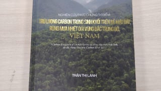 Đo carbon từ rừng: Cách tiếp cận khoa học cho Net Zero
