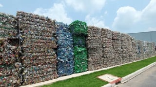 Kiến tạo những giá trị mới cho doanh nghiệp Việt từ chuyển đổi xanh
