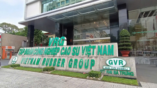 'Vàng trắng' được giá, Tập đoàn cao su Việt Nam báo lãi gấp đôi