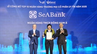 Top 10 ngân hàng thương mại tư nhân uy tín tiếp tục gọi tên SeABank