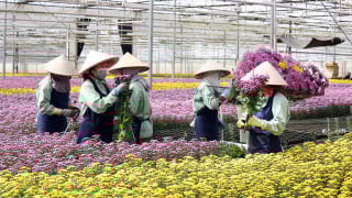 Hasfarm Holdings dự chi 4.500 tỷ thâu tóm doanh nghiệp Úc