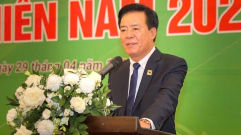 Phân bón Bình Điền 'cài số lùi' trước áp lực lớn trên sân nhà