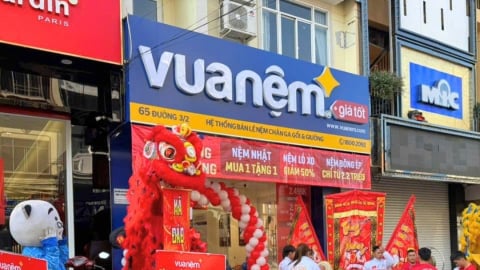 Vua Nệm muốn lên UPCOM, mục tiêu lãi gấp đôi 2024