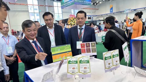500 thương hiệu tham gia triển lãm quốc tế giấy và bao bì