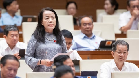 Đại biểu Quốc hội phản đối việc bỏ quyền chất vấn tư pháp địa phương