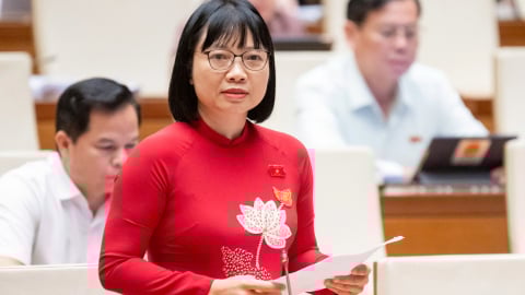 Cảnh báo 'kẽ hở' trong hậu kiểm