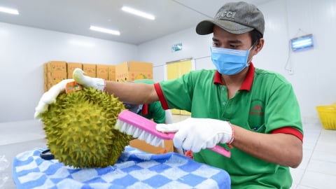 EU đề xuất cử đoàn thanh tra nông sản Việt Nam