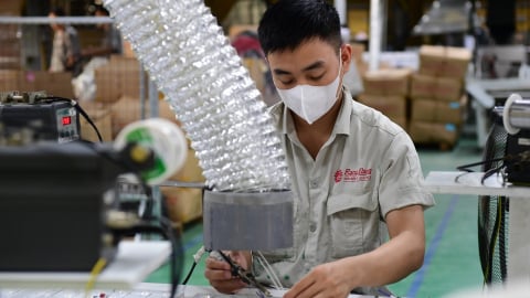 Bỏ thuế khoán khiến Bóng đèn phích nước Rạng Đông mất hàng trăm tỷ đồng