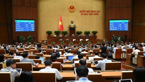 Giáo viên được xếp cao nhất trong thang bậc lương hành chính sự nghiệp