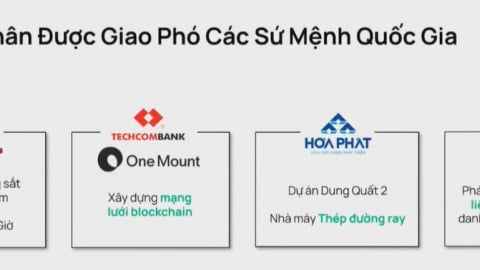 Dragon Capital chỉ ra bốn tập đoàn tư nhân tiêu biểu được giao phó các sứ mệnh quốc gia