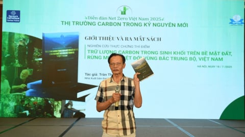 Đo carbon từ rừng: Cách tiếp cận khoa học cho Net Zero