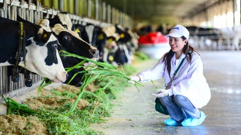 Vinamilk 'mở khóa tự nhiên' tại Green Farm: Mô hình sinh thái truyền cảm hứng đến cộng đồng doanh nghiệp
