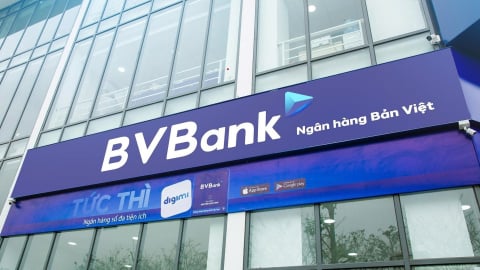 Lợi nhuận BVBank giảm mạnh, nợ xấu tăng