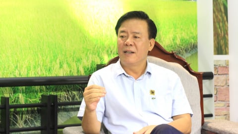 CEO Bình Điền Ngô Văn Đông: Tôi muốn “mùa vàng” cho nông dân