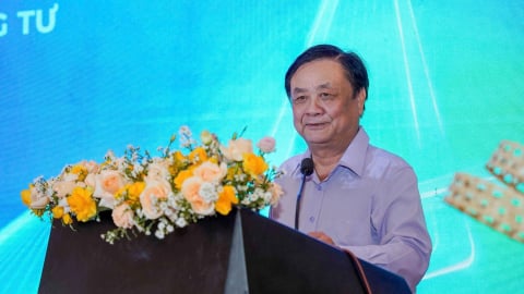Đừng chỉ tìm 'đại bàng', hãy nuôi dưỡng cả đàn 'chim sẻ'