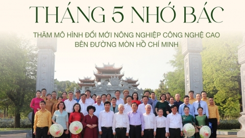 Tháng 5 nhớ Bác: Thăm mô hình Đổi mới nông nghiệp công nghệ cao bên đường mòn Hồ Chí Minh