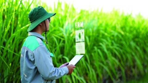 IFC và SMBC cung cấp khoản vay 40 triệu USD cho TTC AgriS