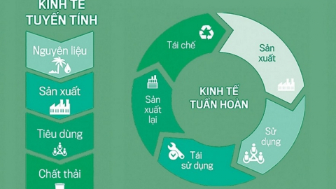 Hiểu đúng về kinh tế tuần hoàn
