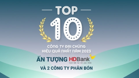 TOP 10 công ty hiệu quả nhất năm 2023: Ấn tượng HDBank, Đạm Phú Mỹ và Hóa dầu Đức Giang