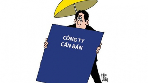 M&A và chuyện “cá lớn nuốt cá bé” và “cá nhanh nuốt cá chậm”