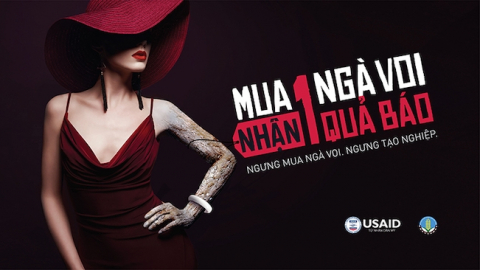 Chơi với ngôn từ trong chiến dịch ‘Ngưng tạo nghiệp’