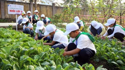 Nestlé hỗ trợ học sinh tiểu học ở Hưng Yên về dinh dưỡng học đường