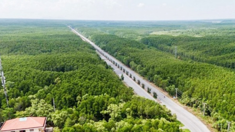 Đề xuất chuyển huyện Cần Giờ thành quận