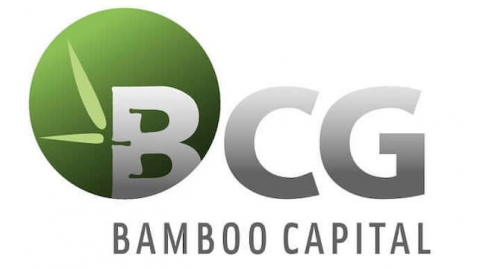 Bamboo Capital giải trình việc thành viên HĐQT bị phạt hành chính