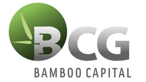 Bamboo Capital giải trình cổ phiếu tăng trần 5 phiên liên tiếp