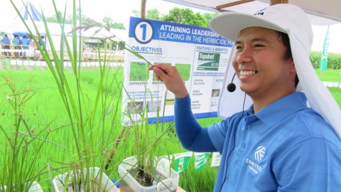 Corteva giới thiệu mô hình canh tác lúa lai mới tại Thái Bình