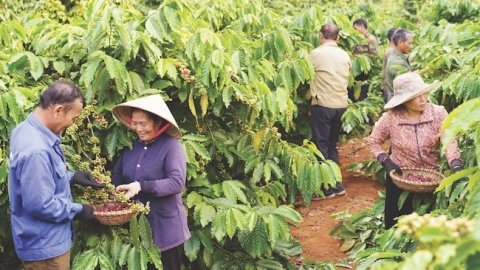 Hành trình chung tay kiến tạo hình ảnh người phụ nữ thời đại mới của Nestlé Việt Nam