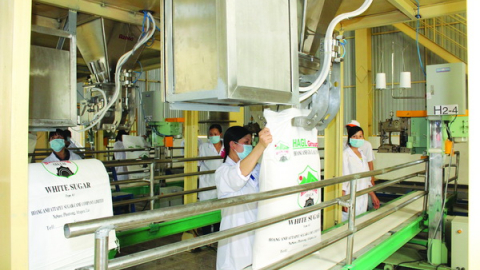 Bầu Đức bán công ty mía đường với giá 1.330 tỷ