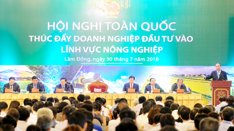 Cần thêm nhiều 'sếu lớn, đại bàng lớn' về nông thôn làm tổ