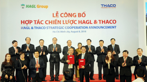 Thaco hợp tác chiến lược với Hoàng Anh Gia Lai