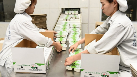 6 thập kỷ trở thành “chuyên gia bò sữa” ấn tượng của Mộc Châu Milk