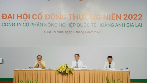 HAGL Agrico dự kiến lỗ hơn 2.700 tỷ đồng