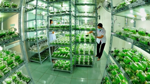 Việc vòi vĩnh doanh nghiệp vẫn 'rất phổ biến'